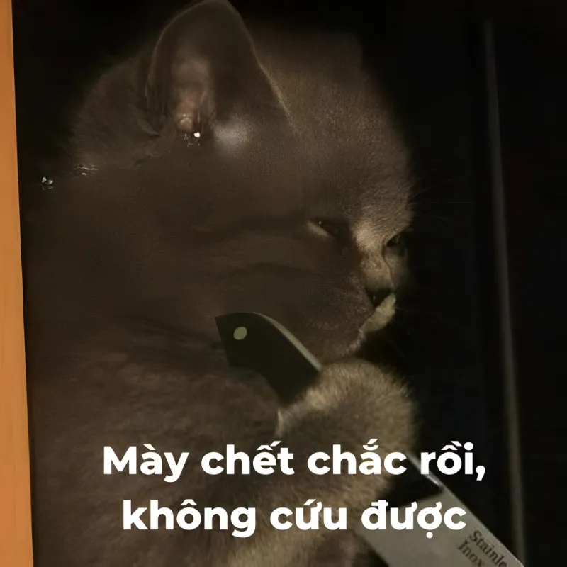 Hơi thở cuối cùng cũng bật cười