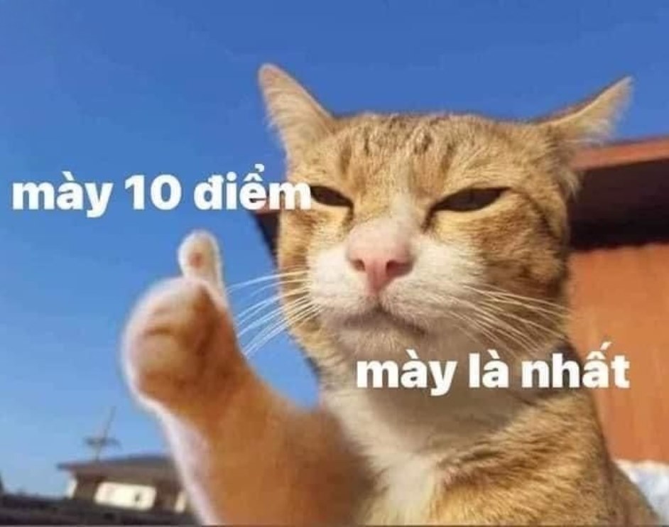 Hơi vô lý nhưng cực có lý, 10 điểm