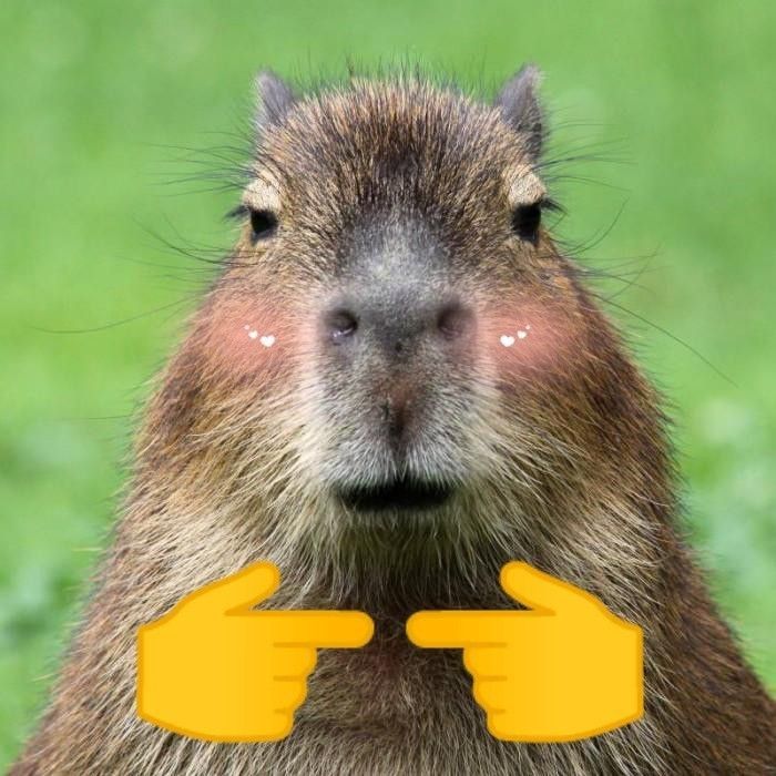 Hôm nay không vui? Xem capybara đi