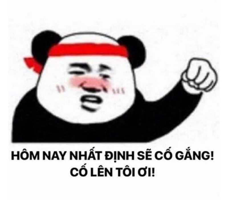 Hôm nay nhất định cố lên