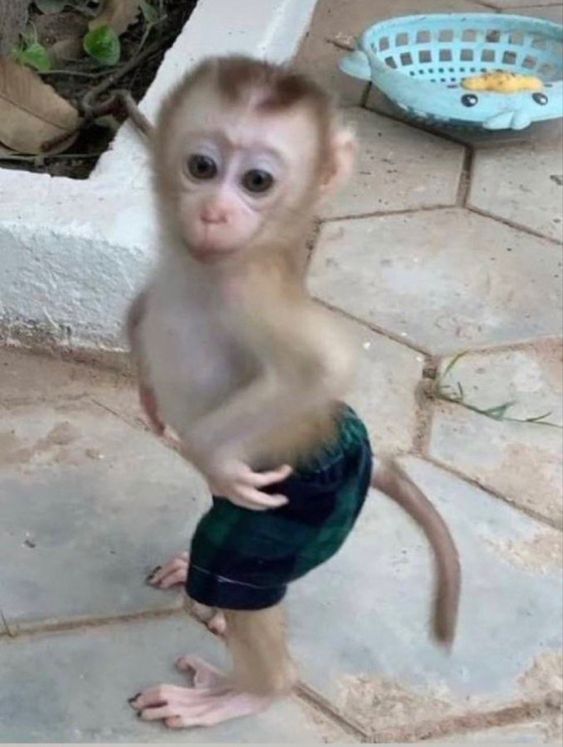 Khi bạn thành công nhờ khí chất "chống nạnh"