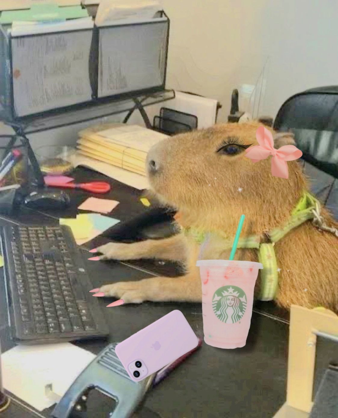 Khi cuộc sống tát, mình nằm như capybara