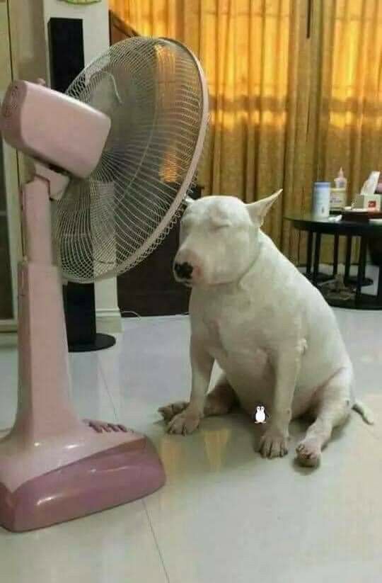Khi được khen ngoan là nhìn như công chúa
