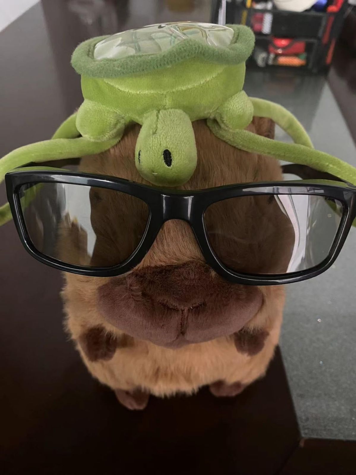 Khi im lặng quá lâu, capybara trở thành sự thật