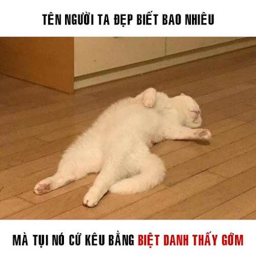 Khóc cho nhẹ lòng, rồi lại gồng lên tiếp tục