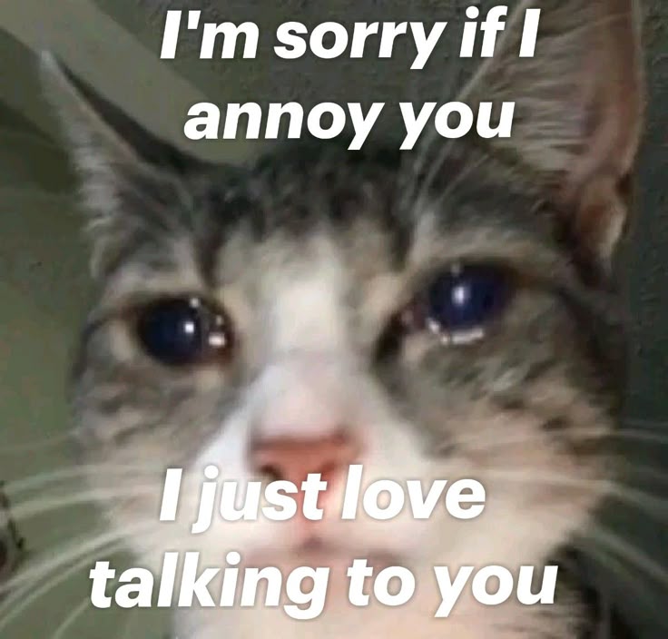 Không ai hoàn hảo, tôi cũng vậy, nên xin lỗi trước