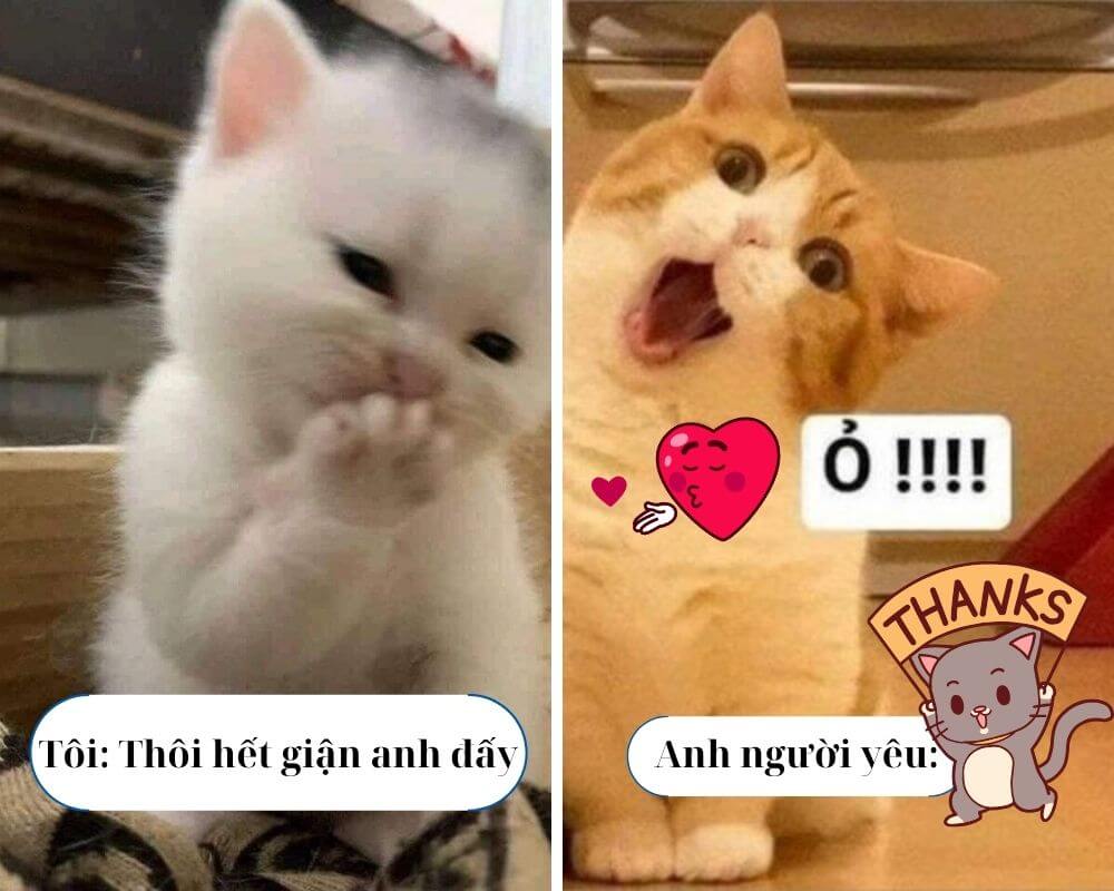 Không biết làm gì nên cảm ơn trước cái đã