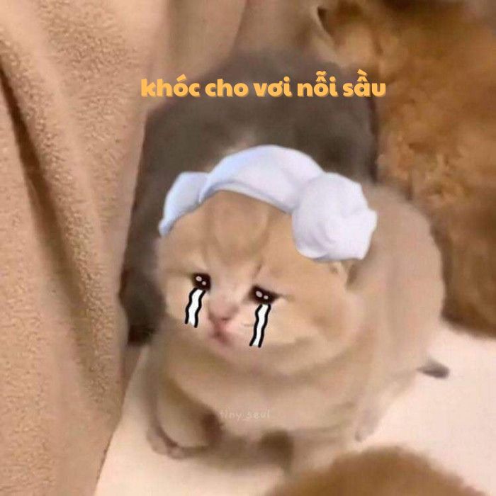 Không có ai để nói chuyện cũng buồn thật đấy