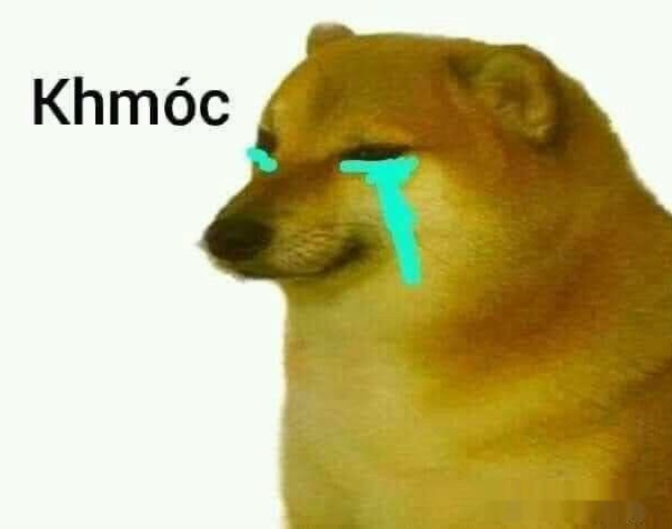 Không có ai ngốc cả, chỉ là Cheems thôi