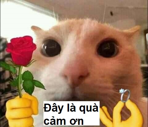 Không có gì quý hơn một lời cảm ơn chân thành