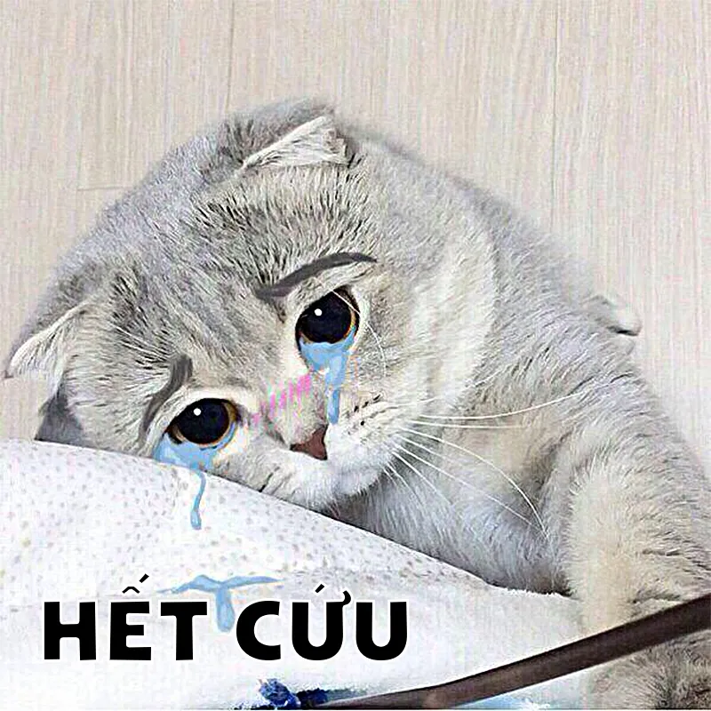 Không cứu nổi anh em ơi
