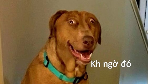 Không hiểu sao lại bất ngờ, dù đã đoán trước