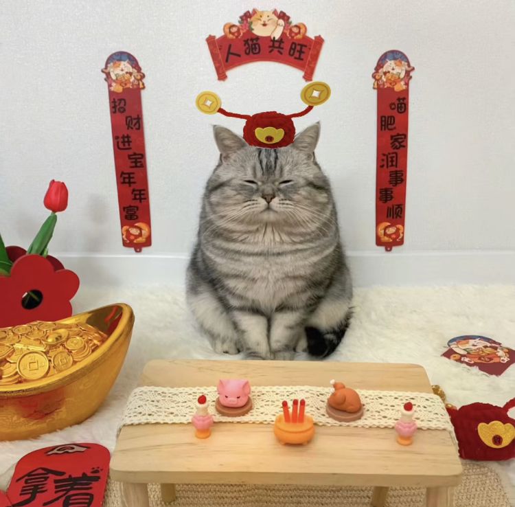 Không khí năm mới thêm sôi động với những meme Tết độc đáo