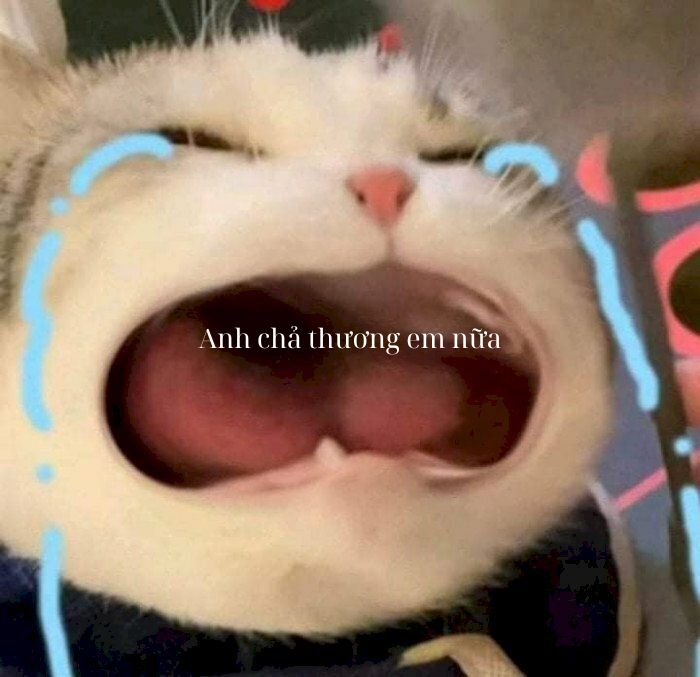 Không khóc được, nên thôi để mọi thứ lặng