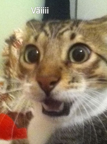 Không nghĩ mọi chuyện lại rẽ theo hướng này