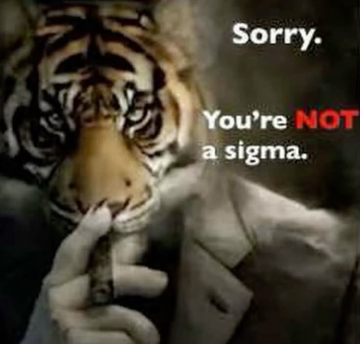 Không nói được gì nữa, nên xin lỗi đại cho rồi