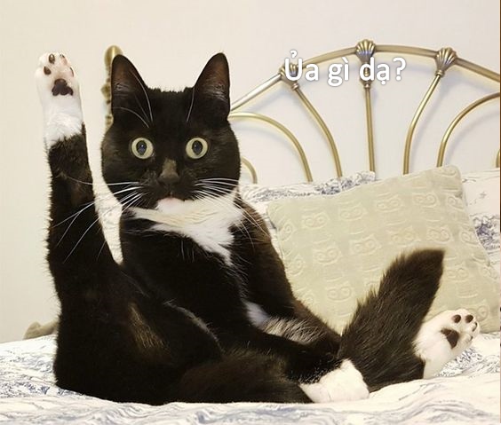 Không phải drama, mà là cuộc sống bất ngờ