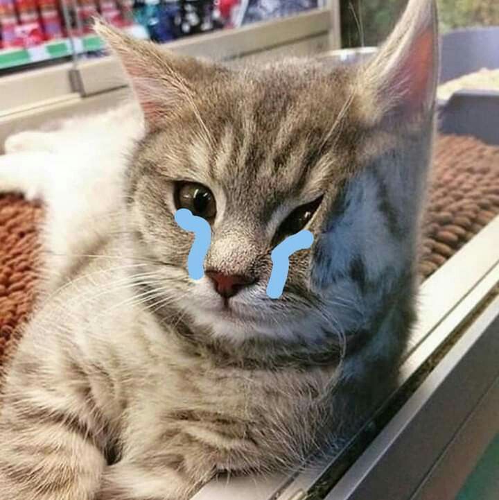 Không phải sai, chỉ là chưa đúng lúc thôi