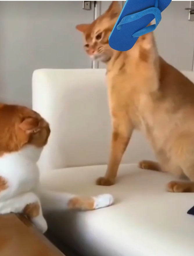 Kỷ luật thép đến từ một chiếc dép