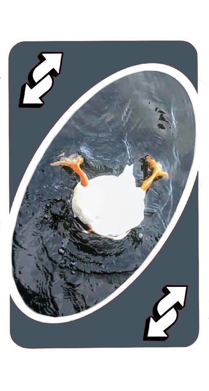 Lá bài đảo chiều uno meme