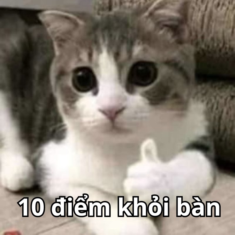 Làm gì cũng được, miễn giữ 10 điểm cool