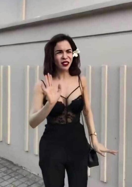 Linda Cẩm Lan Sục meme