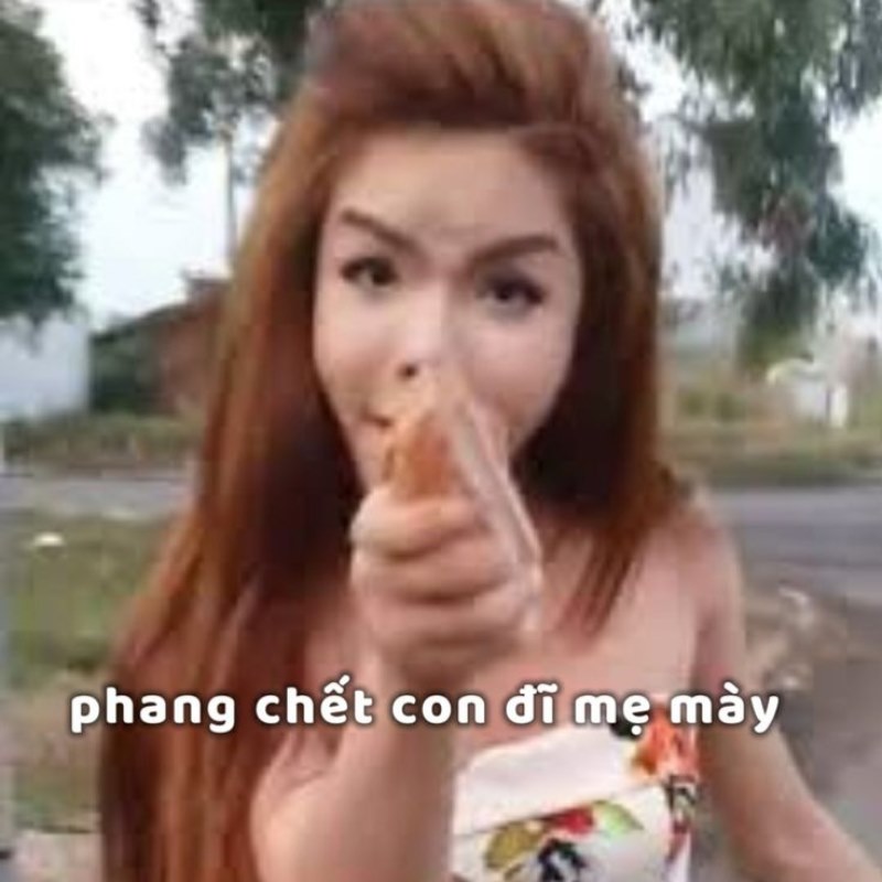Linda Cẩm meme