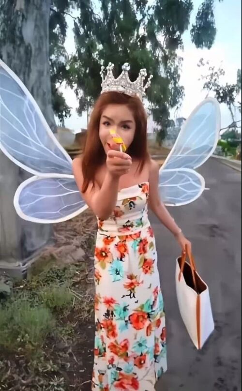 Linda Cẩm Sục meme