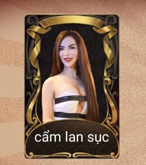 Linda Việt Nam meme