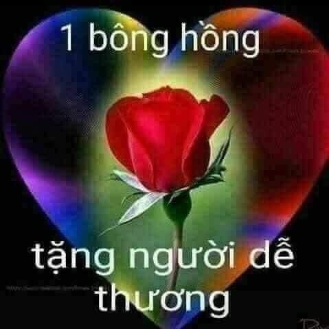 Loạt ảnh chế tặng hoa dí dỏm