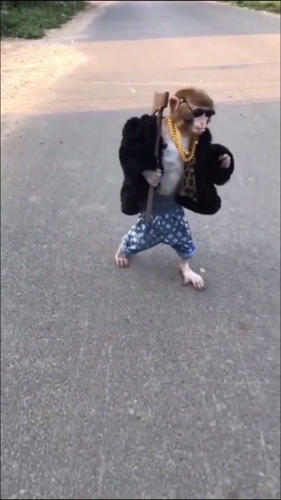 Reaction khỉ hài hước Facebook