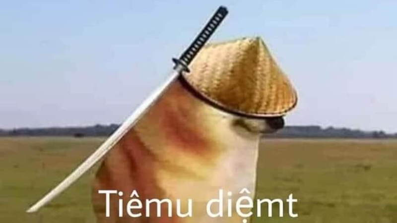Lỗi do miệng, tim tui vẫn ổn mà