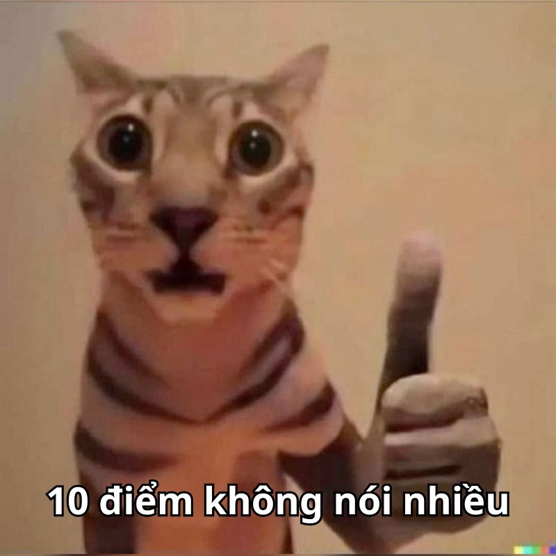 Lời giải thích 10 điểm vì không ai hiểu