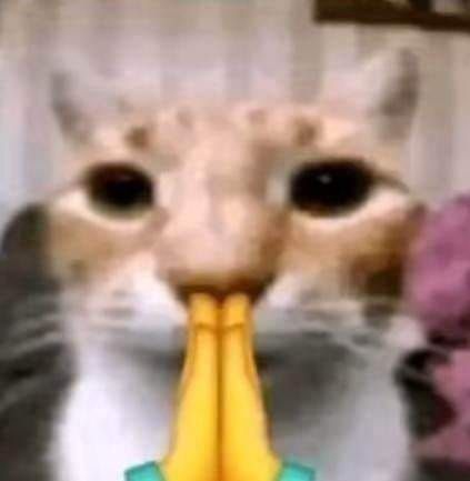 Lỗi không ở tôi, nhưng xin lỗi để yên chuyện