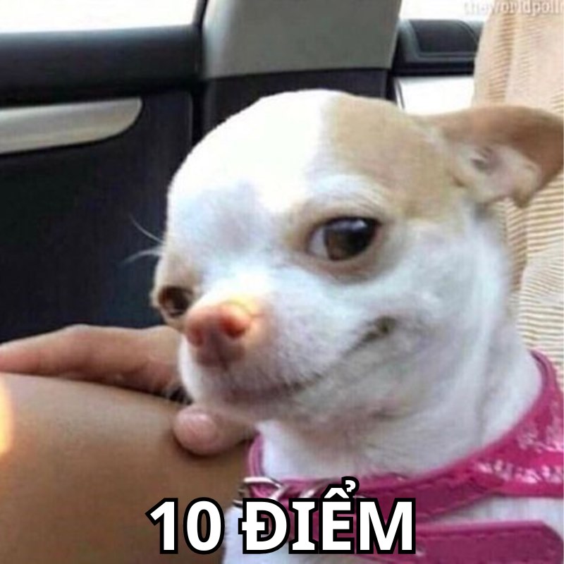 Lú như này vẫn đáng 10 điểm luôn á