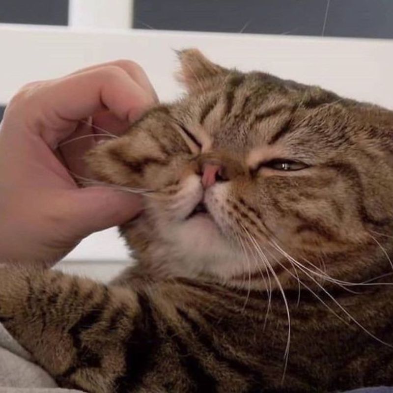 Lúc nào cũng hành xử như thể là chủ tịch