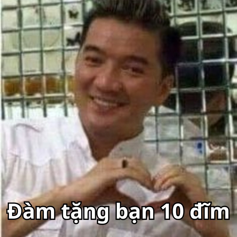 Lúng túng dễ thương nên cho luôn 10 điểm