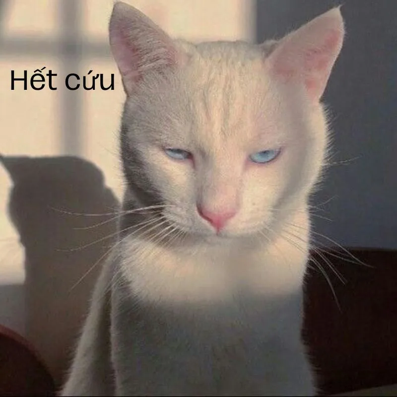 Lướt tới đâu thấy toang tới đó