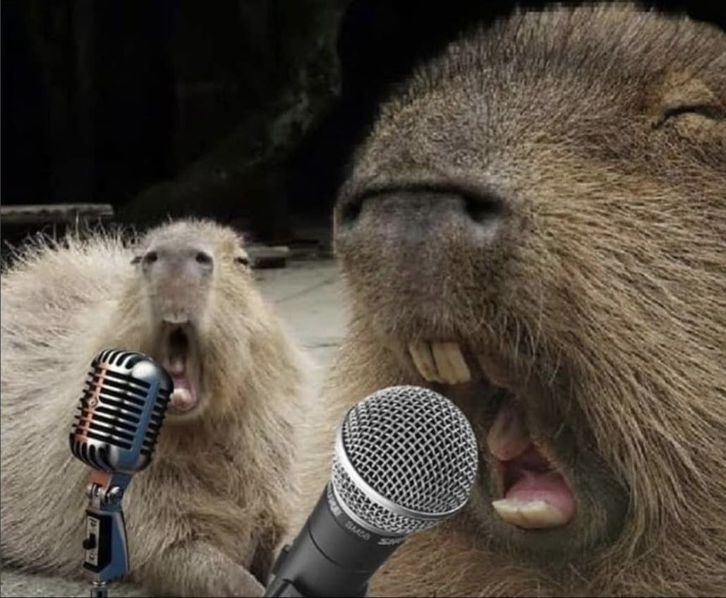 Mặc kệ drama, capybara chỉ uống nước