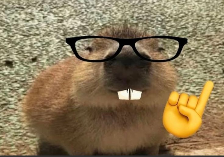 Mặc kệ thế giới, capybara uống trà đá