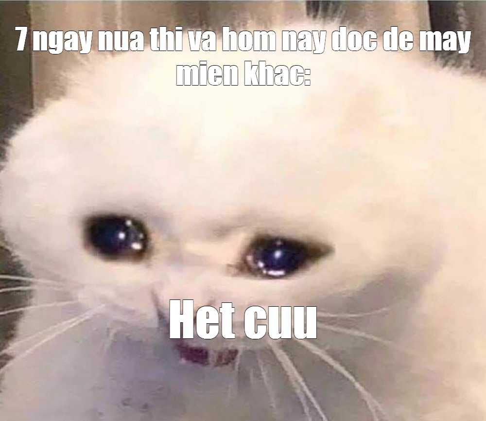 Mắt thì ướt nhưng miệng vẫn cố cười