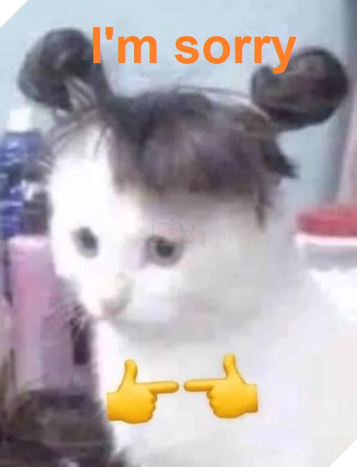 Mặt xin lỗi mà tim thì muốn cười to