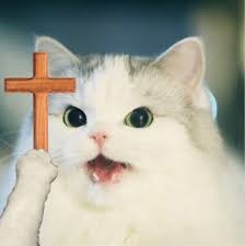 Mấy ông chế meme gì mà làm tui toát mồ hôi