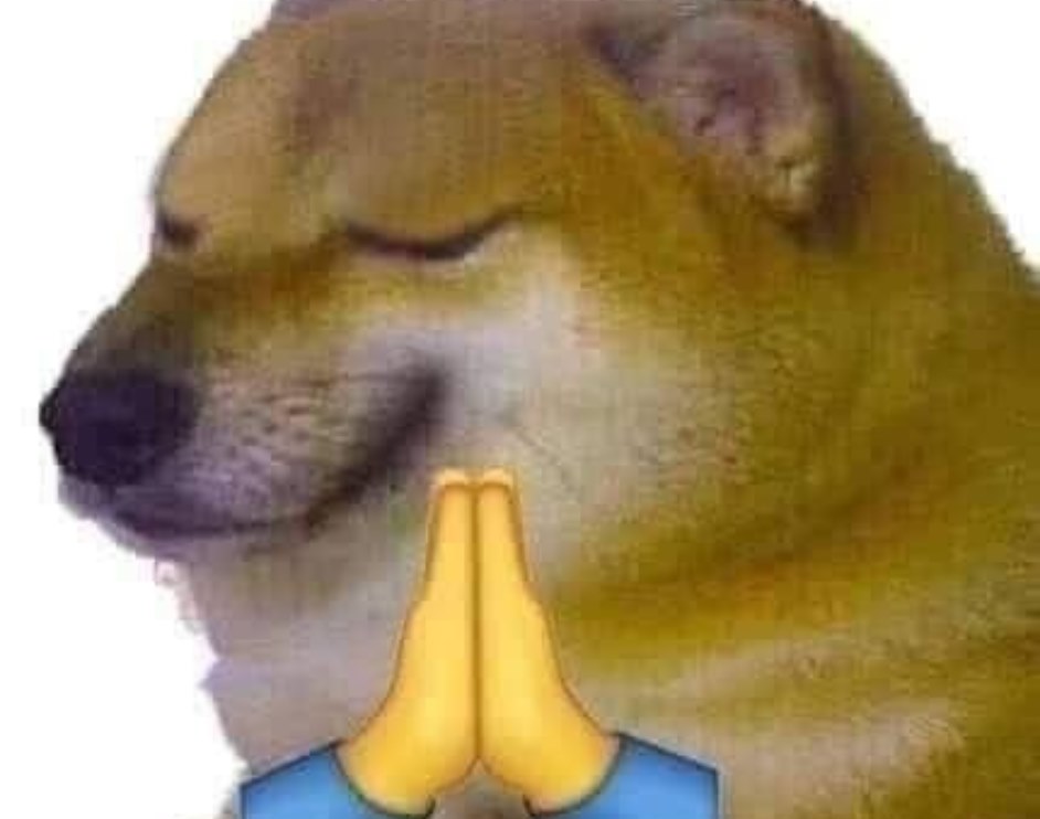 Me have big brain but bad connection