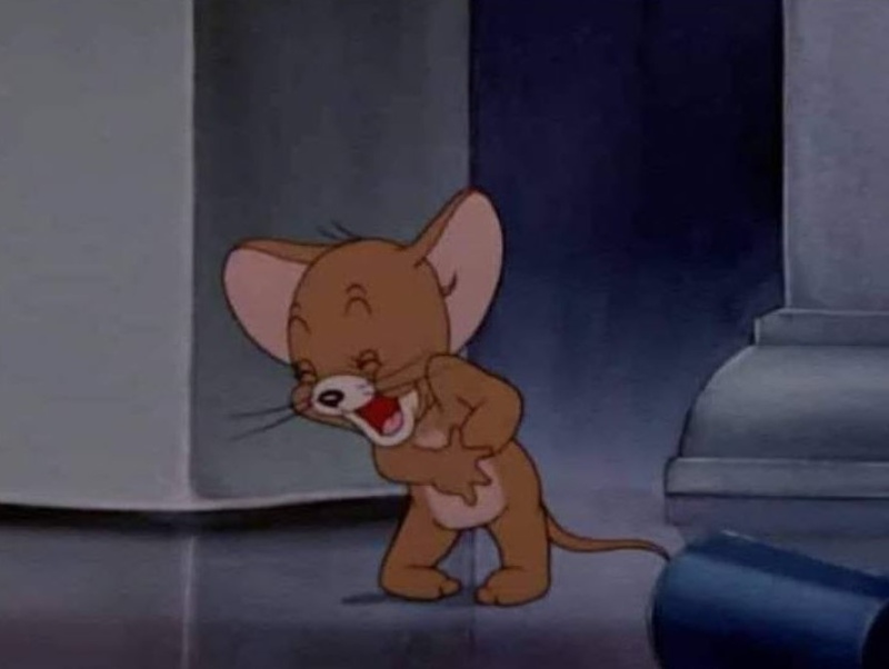 Meme chuột Jerry