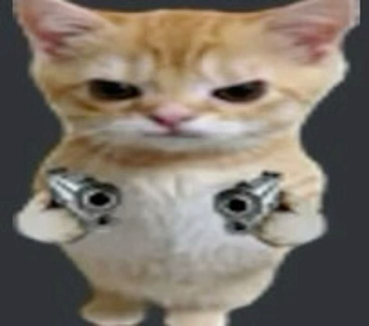 Meme bắn súng đáng yêu