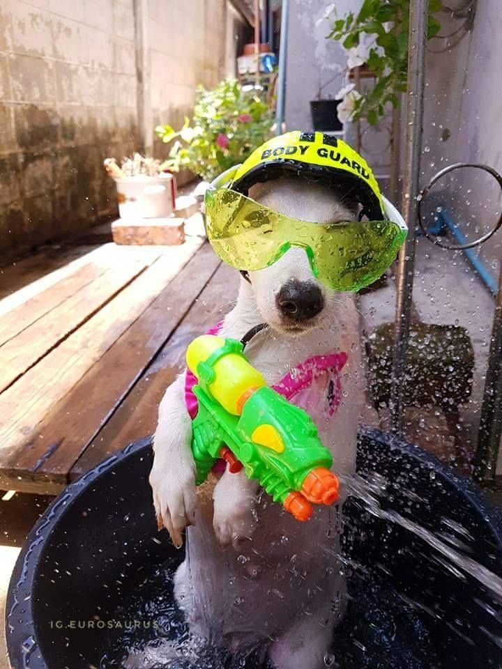 Meme bắn súng hài hước