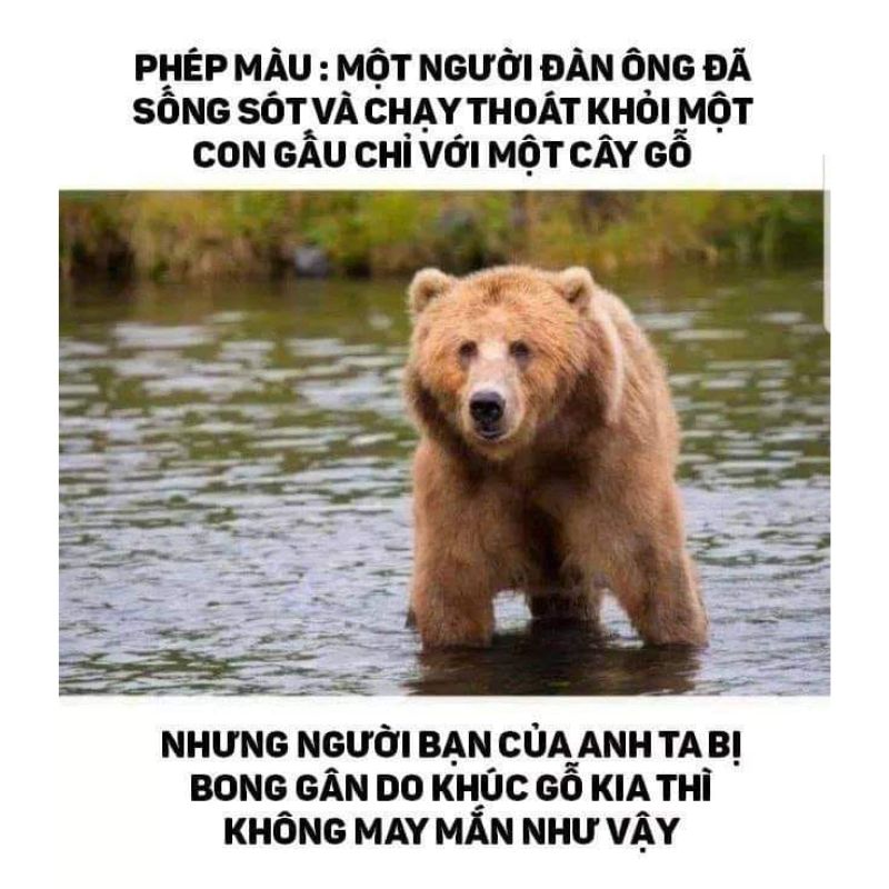 meme chế cực dark