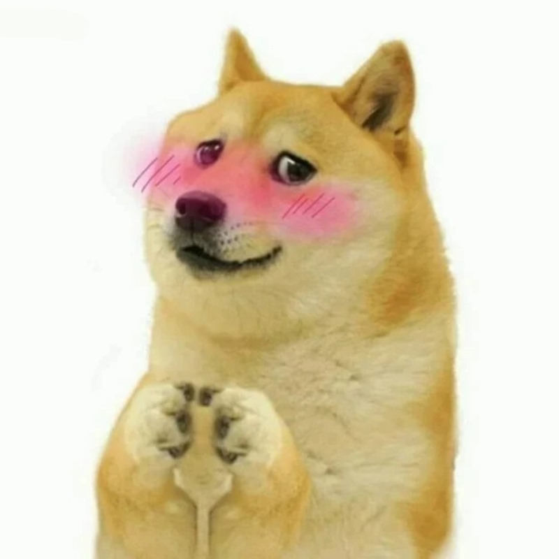 meme cheem