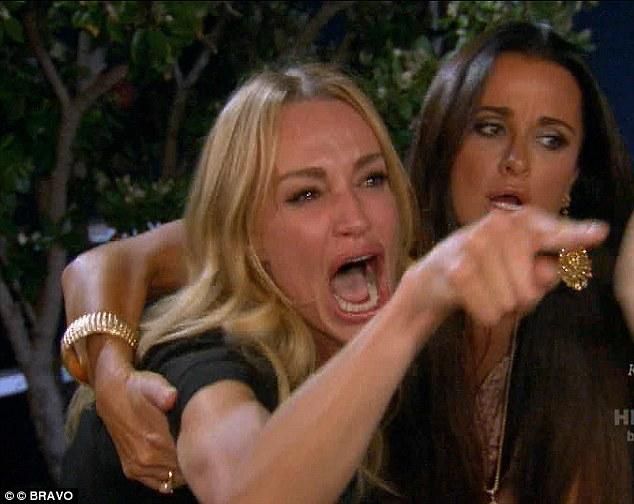 Meme chỉ tay vào mèo